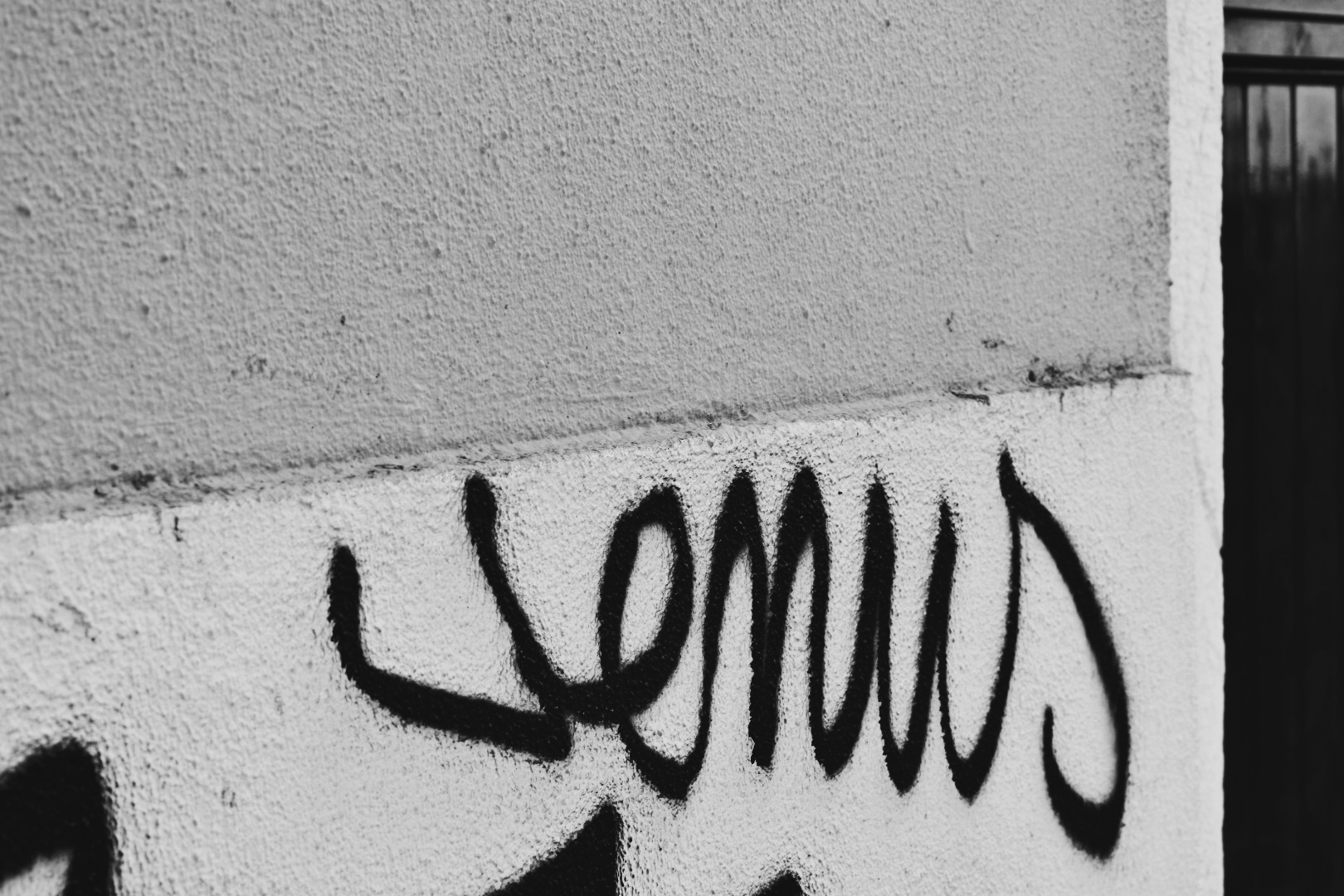 venus-gaffiti